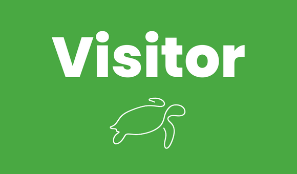 Turtle Awareness Tile - Visitor