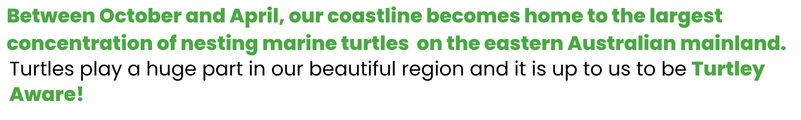 Turtle Awareness - Text banner