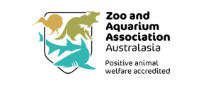 ZAA Logo 2023 update